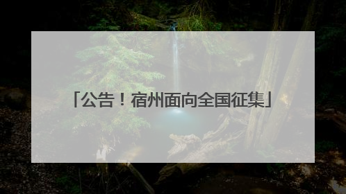 公告！宿州面向全国征集